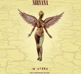 Nirvana - In Utero 20th Aniversary Edition